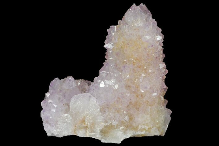Cactus Quartz (Amethyst) Crystal Cluster - South Africa #132492